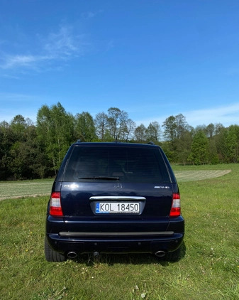 Mercedes-Benz ML cena 38500 przebieg: 242465, rok produkcji 2003 z Wolbrom małe 254